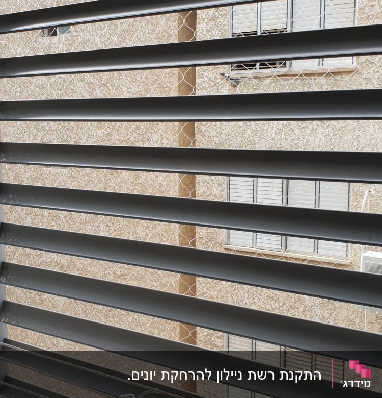 רשת נגד יונים מותקנת על חלון עם תריסים